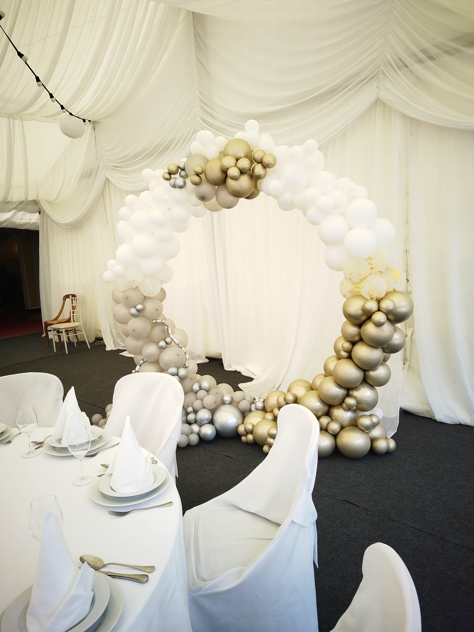 348366234_1009186820077536_4713403124000274404_n